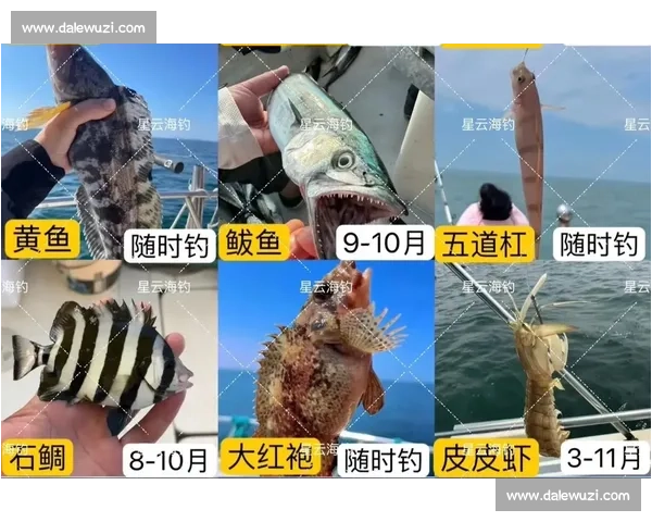 岱山海钓者意外发现：不同鱼类竟有独特 “语言”，百年渔谚暗藏声学密码
